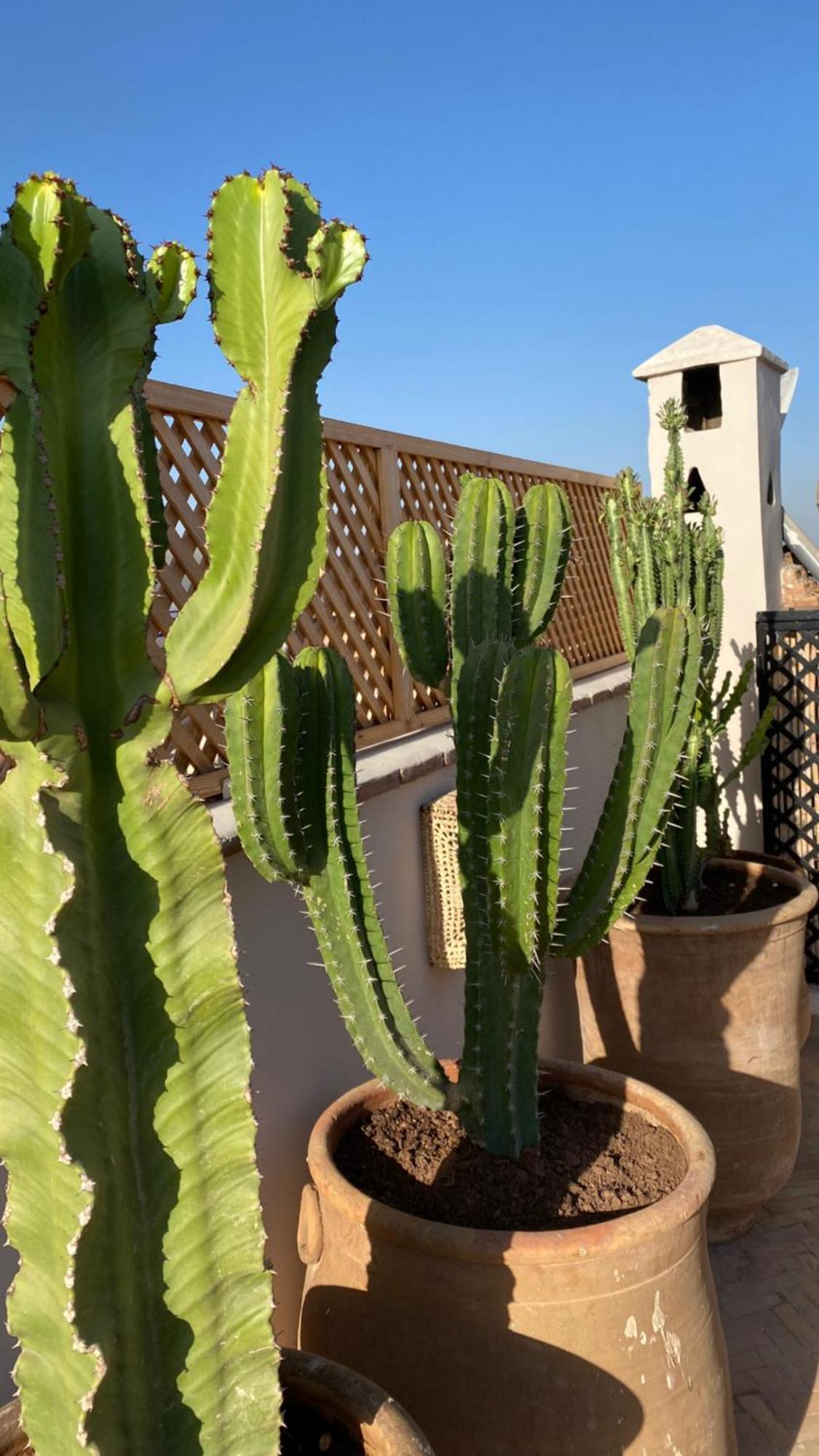 Riad Gasaembre Touareg Марракеш Экстерьер фото